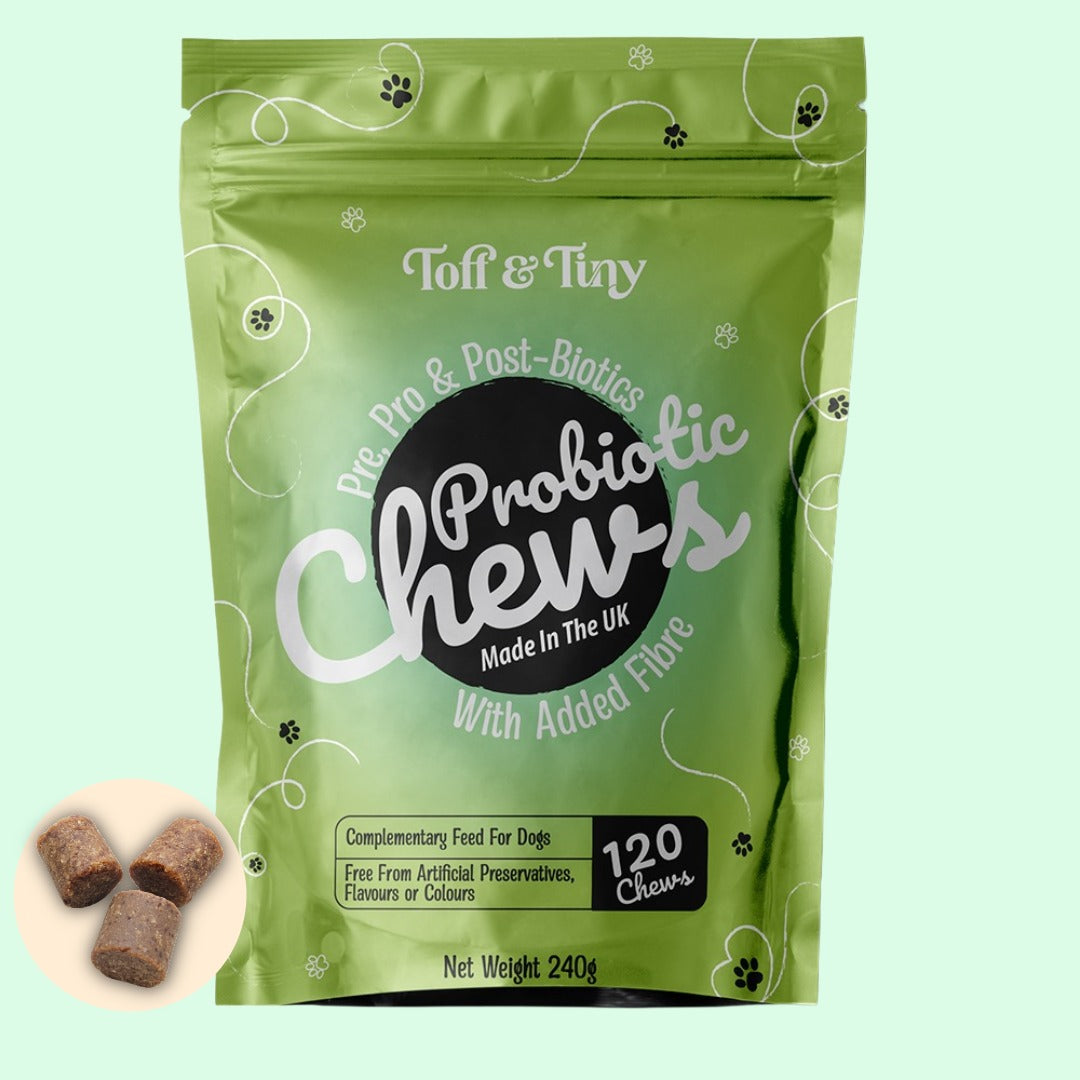 Probiotic Chews For Dogs