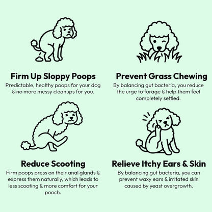 Probiotic Chews For Dogs