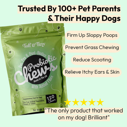 Probiotic Chews For Dogs
