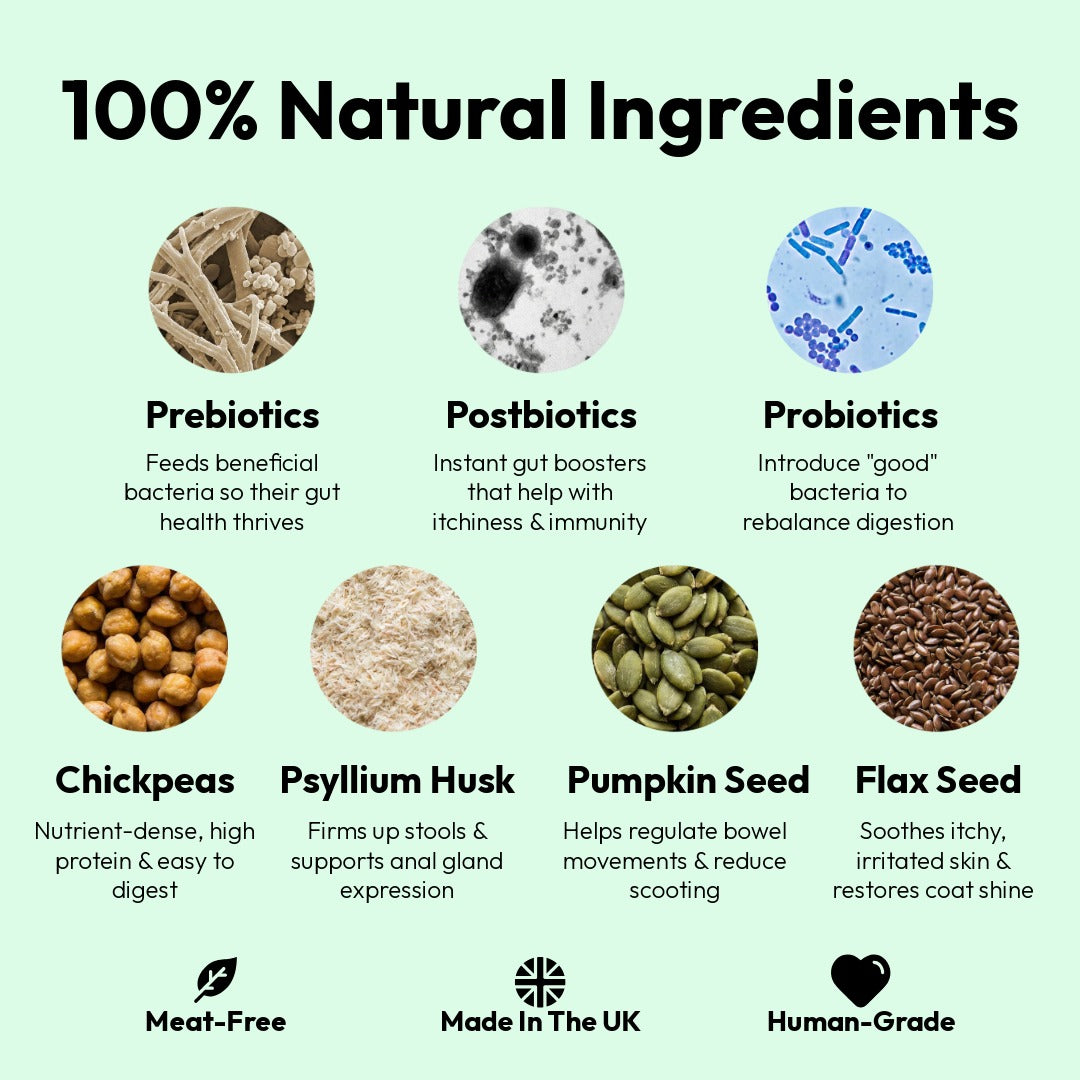 Probiotic Chews For Dogs