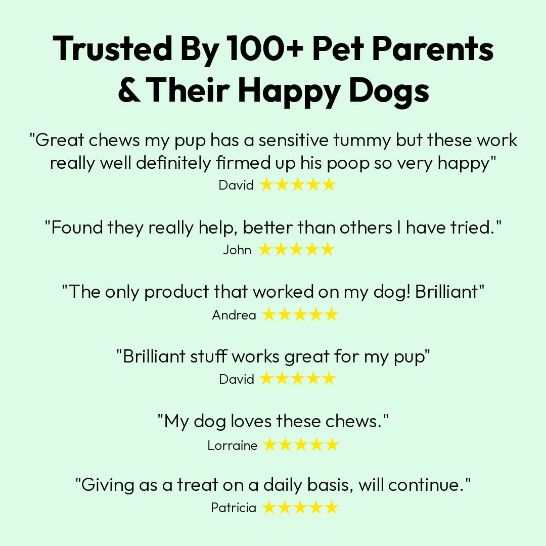 Probiotic Chews For Dogs