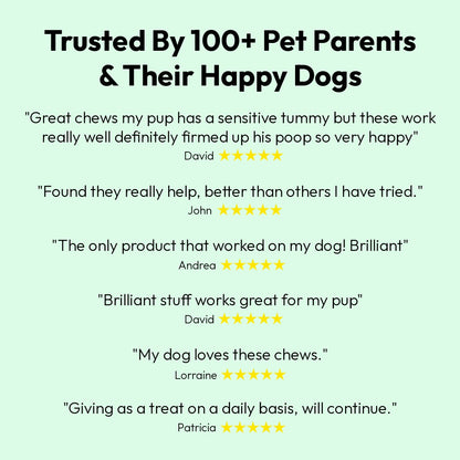 Probiotic Chews For Dogs