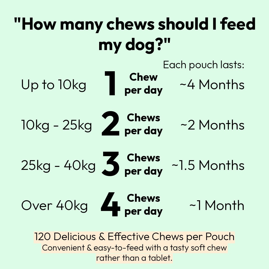 Probiotic Chews For Dogs