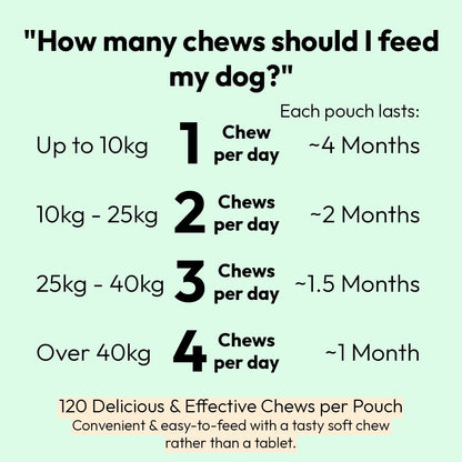 Probiotic Chews For Dogs