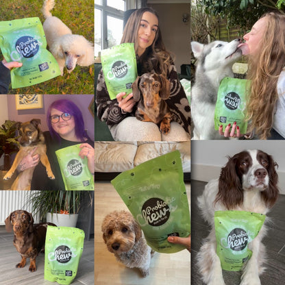Probiotic Chews For Dogs